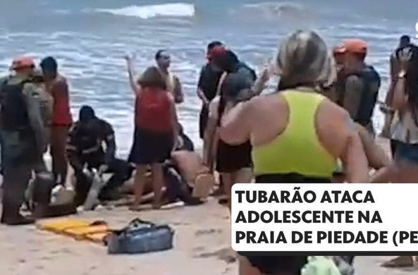  Tubarão ataca adolescente na praia de Piedade, em Jaboatão dos Guararapes, no Grande Recife – G1